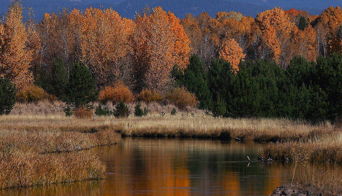 Photo_making_compost_process_detail_intro_1100x633