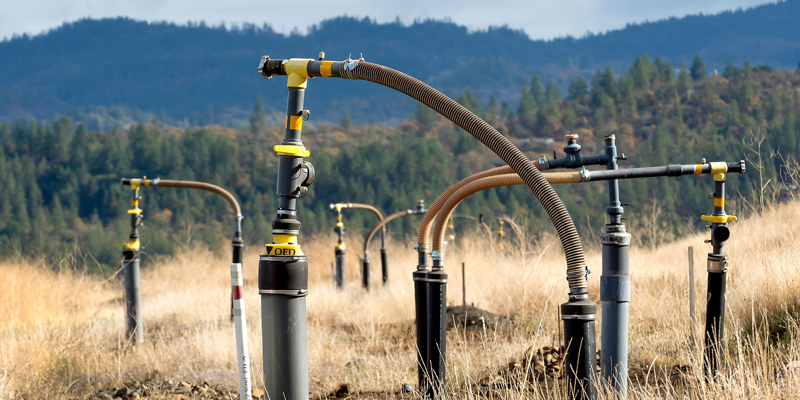 Asbestos environmental initiative bold vision image