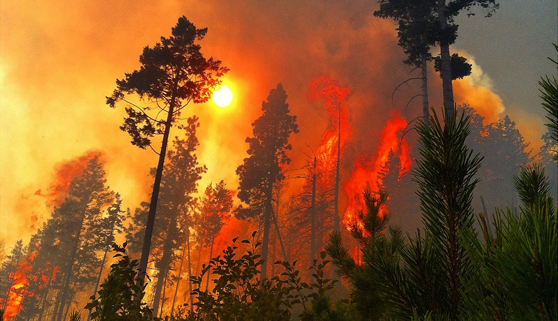 Case studies southern or fires hero image 1 7 22