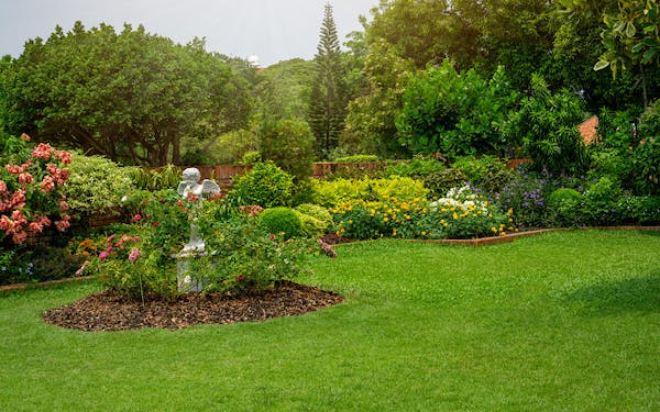 Lawn in yard