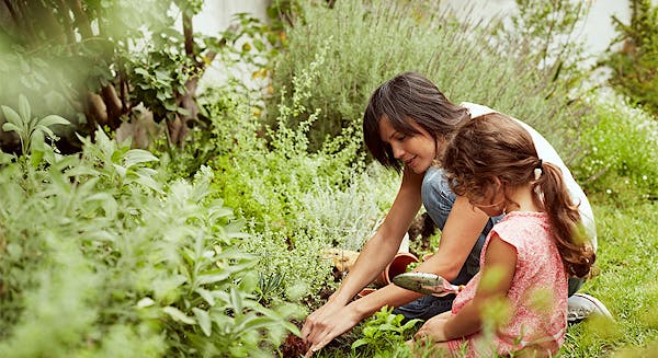 Photo Compost July Chores 1100x600