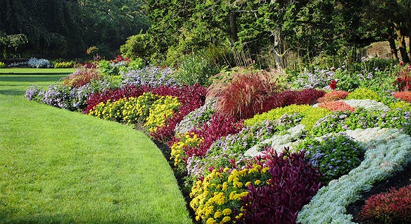 Photo Compost May24 Flower Beds 1100x600